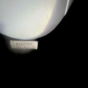 Aritzia Babaton v neck